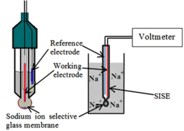 Figure 3. Schematic representation of the potentiometric method. 