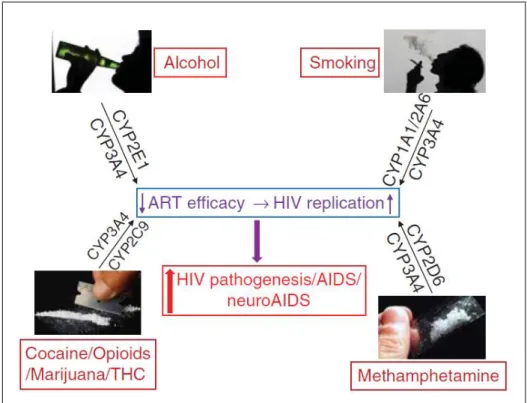 Figure 5 : Effets de l’abus de substances sur les thérapies antirétrovirales et la progression   de l’infection par le VIH, impliquant les principaux cytochromes P