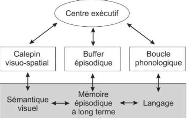 Figure 1 Modèle de la MDT de Baddeley (2000) 