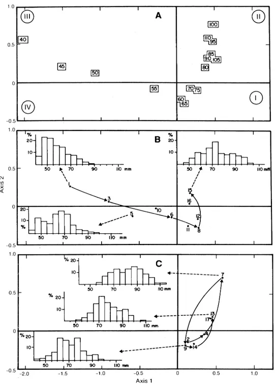 Fig. 5. Results of factorial analysis of correspondence for size distributions of snow crab samples from research vessel surveys in the southwestern Gulf of 81
