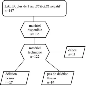 Figure  10 :  Diagramme  de  flux.  Représentation  de  la  cohorte  rouennaise  complète,  et  celle  analysée dans notre étude