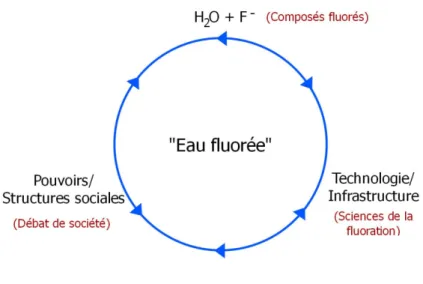 Figure 2. Schématisation d’un cycle hydrosocial de la fluoration (Inspiré de : Linton et Budds, 2014) 