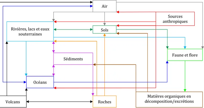 Figure 10. La circulation des fluorures dans l’environnement (Adapté de : OMS, 2002) Sédiments 