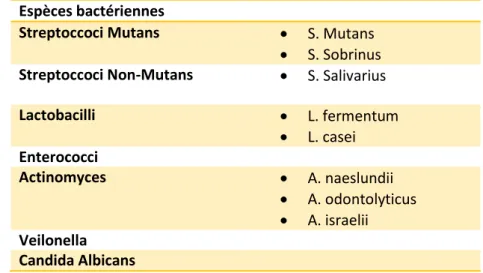 Tableau 1 : Les différentes espèces bactériennes associées à la carie précoce de l'enfant (CPE)  Espèces bactériennes 