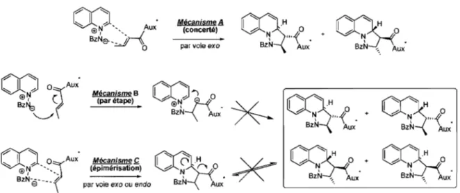 Figure 9.  Mécanismes envisagés 