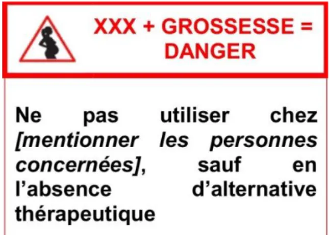Figure 5: Pictogramme « Danger »