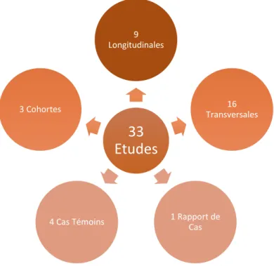 Figure 12 : Classement des types d’études analysées  