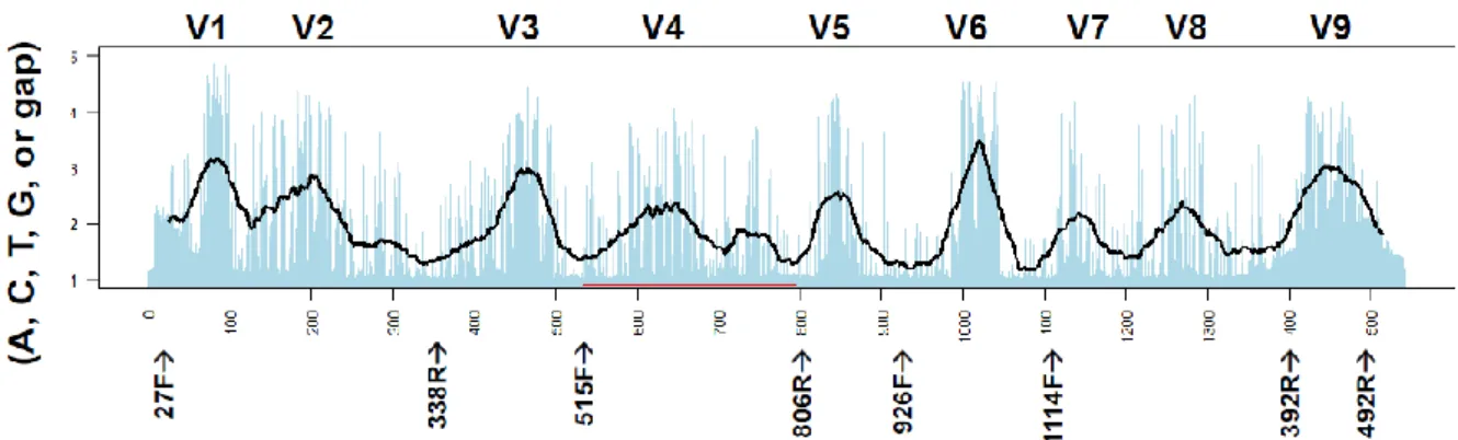 Figure 11. Les différentes régions hypervariables du gène de l’ARNr 16S, d’après Lundberg et al