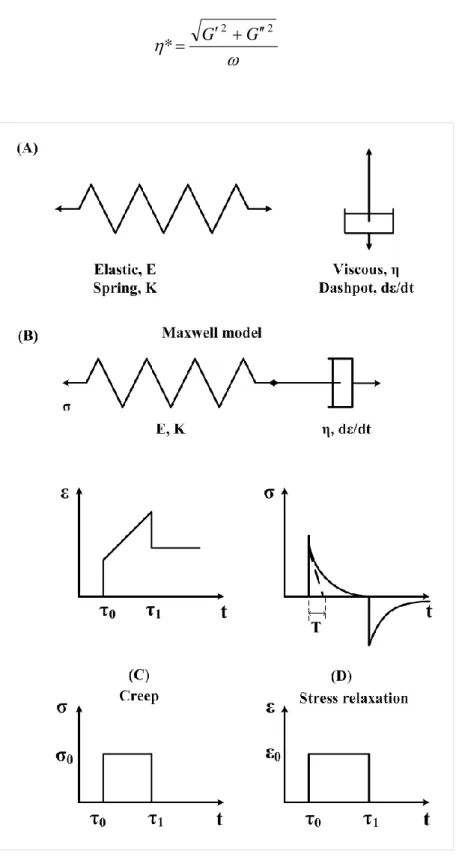 Figure 3-10:  Maxwell elements (A); Maxwell model (B); Creep (C); Stress relaxation  (D)