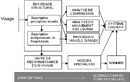 Figure 1. Modèle modulaire de la reconnaissance des visages de Bruce et Young (1986).