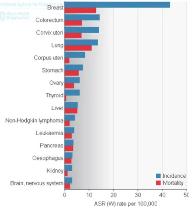 Figure 1 : Taux d'incidence et de mortalité   en fonction de l'âge chez les femmes dans le Monde