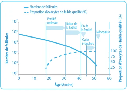 Figure 4 : Evolution du nombre de follicules primordiaux et de la qualité chromosomique  des ovocytes en fonction de l’âge