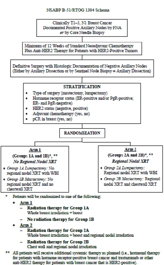 Figure  6 :  Schéma  d’étude  de  l’essai  NSBP  B-51  /  RTOG  1304,  en  cours  d’inclusion  (ClinicalTrials.gov, NCT01872975)