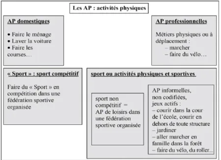 Figure 7Les différents champs d’activités physiques, d’après l’ouvrage « Prescription des activités physiques en prévention et en  thérapeutique » 2ème édition, Fréderic Depiesse et Olivier Coste, 2016 