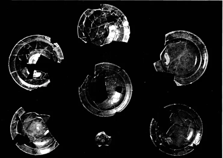 Fig. 5  :  Idem (cl. CNRS-CCJ). 