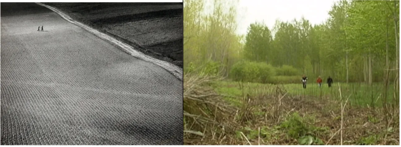 Figure 21 Comparaison entre : Ground Walk, photographie de Pawel Pierscinski 1984 et mon film Les  Rois mages, 2007 