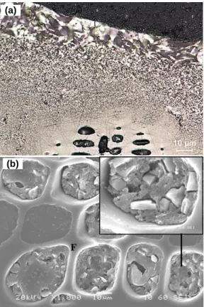 Figure 7 (a) Image of a sessile-drop, (b) the schematic  representation of a sample taken from the sessile-drop 