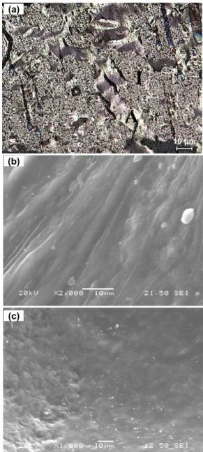 Figure 3 SEM images of solid components of coal tar pitch: 