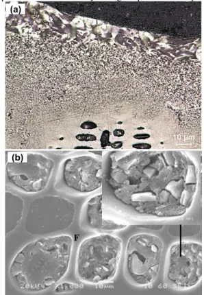 Figure 7 (a) Image of a sessile-drop, (b) the schematic representation of a sample taken from the sessile-drop 