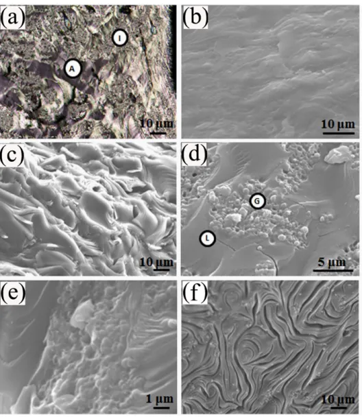 Figure 2 Micrographs of pure carbonized pitch: (a) optical microscopy image of polished surface (A: anisotropic, I:isotropic texture), (b) SEM image of polished surface, (c) general views of  fractured surface, (d) different textural components visible in 