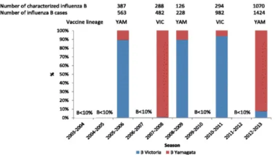Figure 6 : Pourcentage de grippe B selon le sous-type et par saison de 2003 à 2013 en  France selon (4)