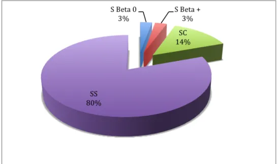 Graphique 1 : Répartition des drépanocytoses chez les enfants de notre  étude 