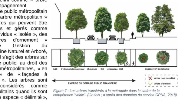 Figure 7 : Les arbres transférés à la métropole dans le cadre de la 