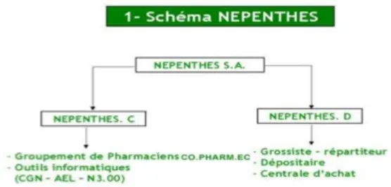 FIGURE 4 : Schéma de la Structure Népenthes 