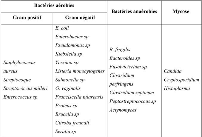 Tableau 3 : Principaux germes observés lors d'un abcès hépatique  54