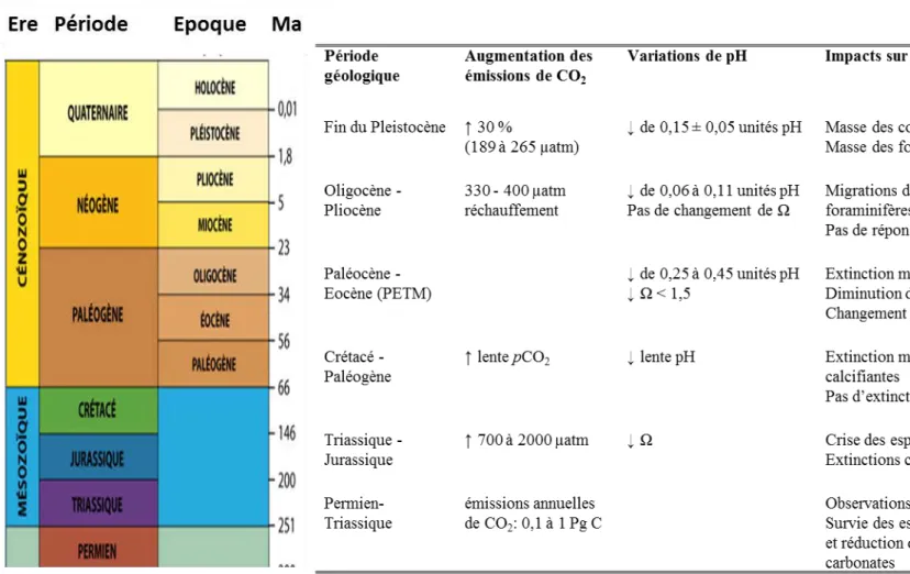 Tableau 0-1: Evènements d'acidification des océans au cours des ères géologiques 