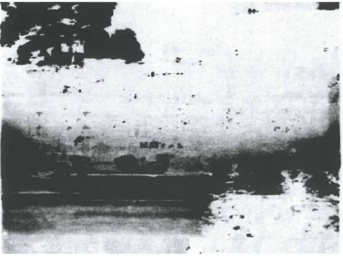 Figure 8 : Documentation de l'installation audiovidéographique Ce qu'il reste (2011). 