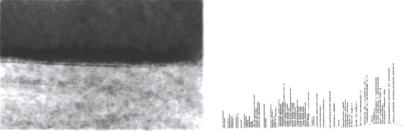Figure 9 : Documentation de l'installation audiovidéographique Ce qu'il reste (2011). 