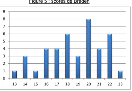 Figure 5 : scores de Braden  
