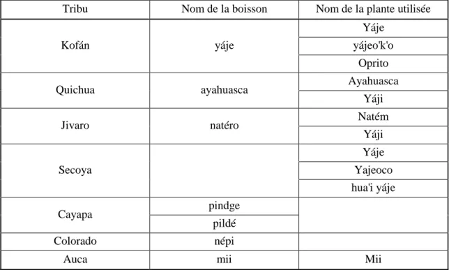 Tableau  I  :  Différentes  appellations  du  breuvage  et  de  ses  ingrédients  en  fonction  des  tribus autochtones en Equateur (d’après Pinkley, 1969) 