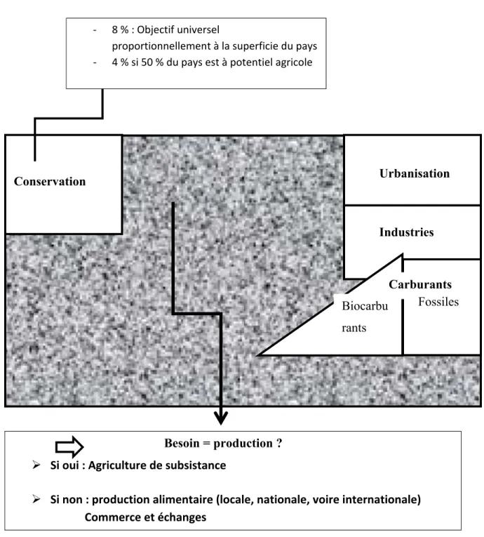 Figure 3 : Schéma récapitulatif de l’utilisation théorique des terres      Conservation  Urbanisation  Industries  Carburants Carburants  Fossiles  Biocarbu rants - 8 % : Objectif universel 