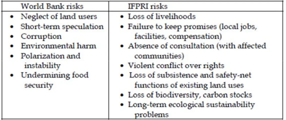 Figure 6 :  Les  risques  reliés  aux  changements  dans  l’accaparement  des  terres  selon  la  Banque Mondiale et l’Institut de recherche sur les politiques alimentaires 