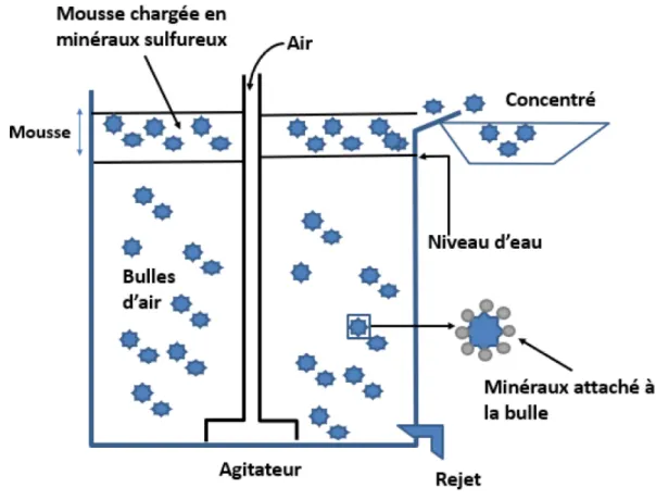 Figure 3.3 Principe de fonctionnement de la flottation (adapté de  Wills and Finch (2016b))  Finalement, trois concertés seront récupérés et séchés à l’étuve