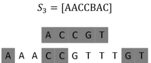 Figure 11 : Representation of the LCSS. 
