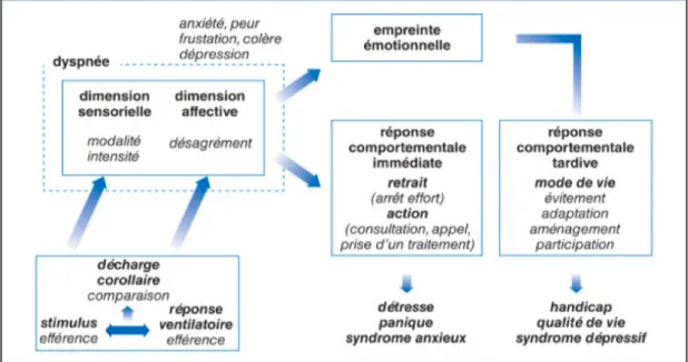 Figure 5 : Modèle psychophysiologique proposé par Morelot-Panzini  