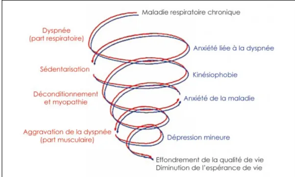 Figure 6 : Spirale du déconditionnement (Préfaut &amp; Ninot, 2009) 