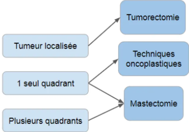 Figure 4:  Indications de traitement chirurgical mammaire