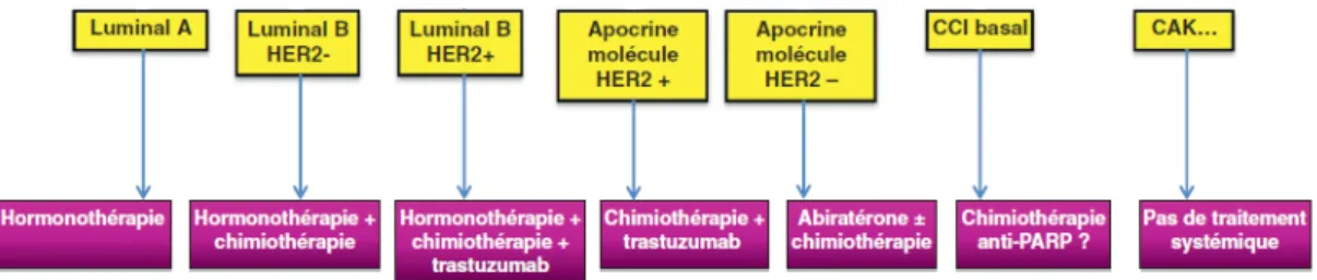 Figure 7: Classification immunophénotypique et les traitements systémiques (16)