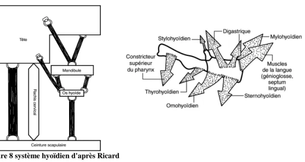 Figure 7 schéma de Brodie 