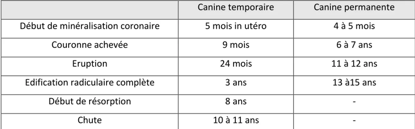 Tableau 2 : Chronologie d’évolution des canines 