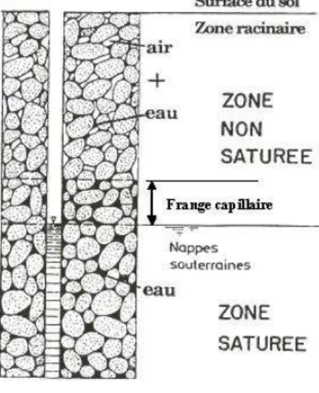 Figure 2.3   : Distinction entre la zone saturée et la zone non saturée d’un  sol (Musy, 2005)