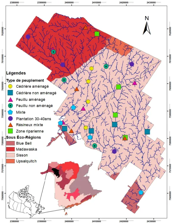 Figure 2.1 Répartition des parcelles des huit types de peuplements échantillonnés dans  le district de Black Brook au Nouveau-Brunswick (indiqué en noir), Canada