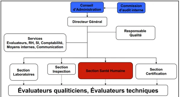 Figure 1 : Organisation du COFRAC 