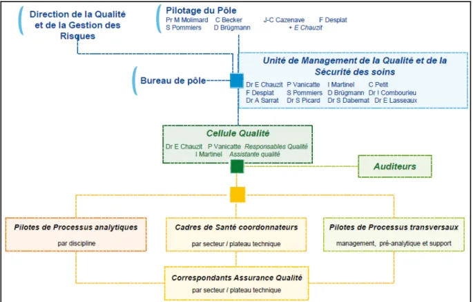 Figure 4 : Organisation qualité du pôle de biologie et pathologie 