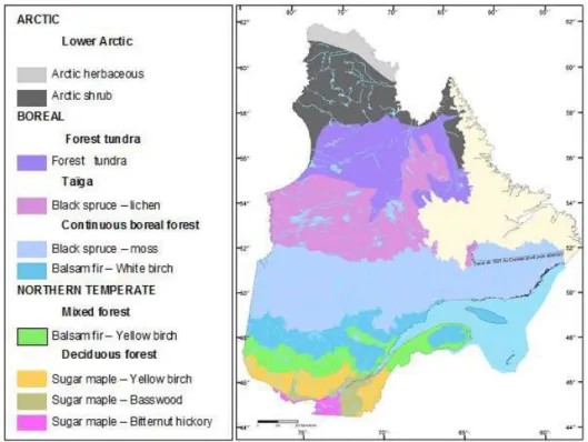 Figure 1.1 Vegetation zones and bioclimatic domains in Quebec (Saucier et al., 1998). 