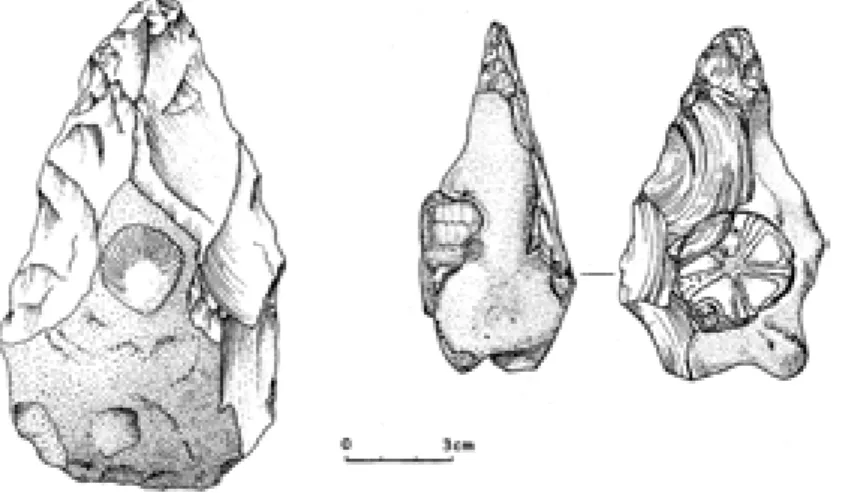 Fig. 1 : Deux exemples de bifaces acheuléens taillés autour d’un fossile pré- pré-sent dans la roche du Crétacé